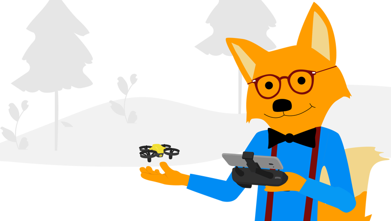 Der Smart-Home-Fox testet Mini-Drohnen